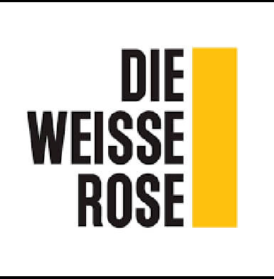 weisse rose poster